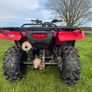 Trx420fe Quad Image 4