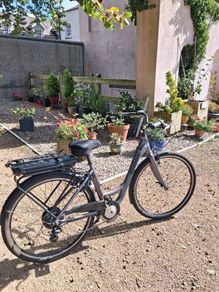 ebikes