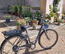 ebikes