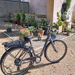 ebikes