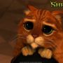 sandyg24