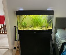 Juwel  125 litre tank and cabinet set 450 ONO