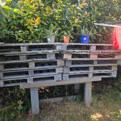14 Free Pallets