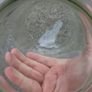 3 X Victorian Glass Domes Image 10