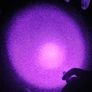 UV Flashlight 365nm Ultraviolet Torch Image 2