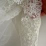 Custom Premium 3m Cathedral Lace Veil (With Hair Comb) Image 9