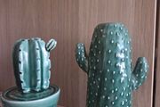 Home decoration cactus vase