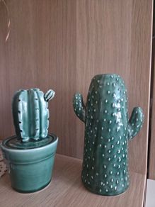Home decoration cactus vase