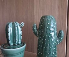 Home decoration cactus vase