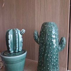 Home decoration cactus vase