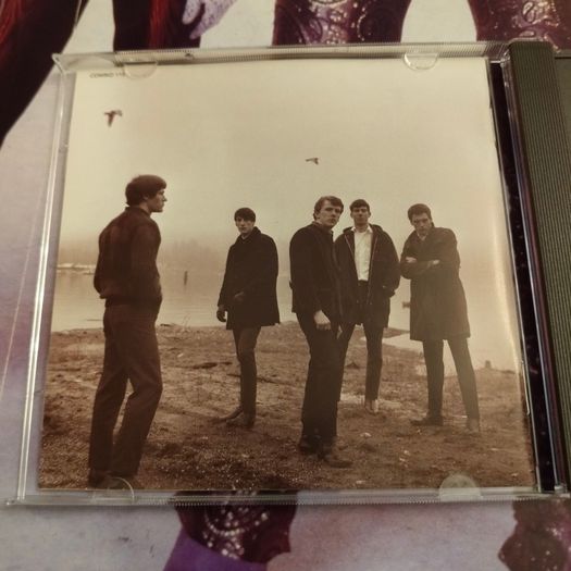 The Sonics - Psycho-Sonic