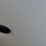 shower tray Image 2