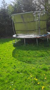 Trampoline