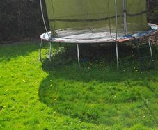 Trampoline