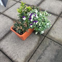 Window box
