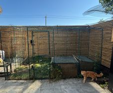 Omlet catio - cat enclosure