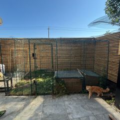 Omlet catio - cat enclosure