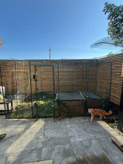 Omlet catio - cat enclosure
