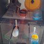 Hamster Image 3