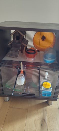 Hamster