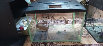 Fish Tank