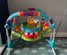 Baby Einstein Jumperoo
