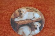 Guide Dog Hot Pot/Plate Stand for Sale