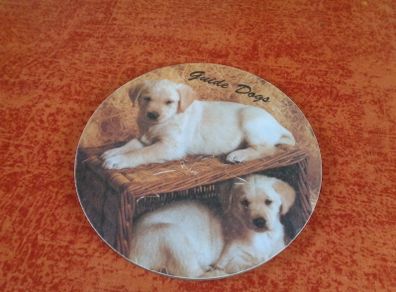 Guide Dog Hot Pot/Plate Stand for Sale