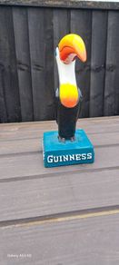 extra  large  Guinness toucan