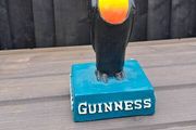 extra  large  Guinness toucan