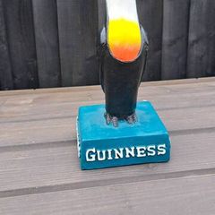 extra  large  Guinness toucan