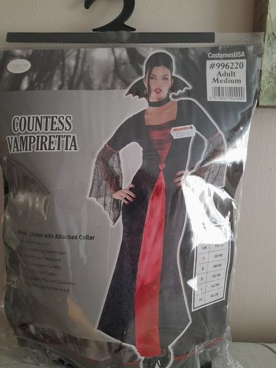 Ladies Halloween costume
