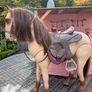 Our generation wooden Stable with horse and Our generation Doll Image 7