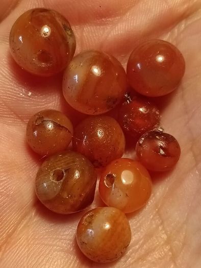25 1900BC Carnelian Ancient Egypt Beads(With COA)