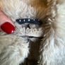 Sisley Sheepskin Style Jacket Size 12 Image 6