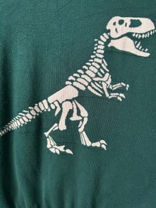 Green Joanie brand dino jumper