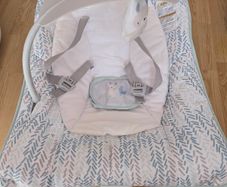 Baby bouncer