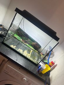 fish tank