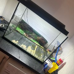 fish tank