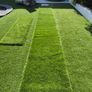 artificial grass NEW SUPER 50MM Image 2