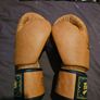 Fairtex BGV-21 Brand New 12oz Image 3