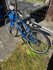 Apollo Transfer bike