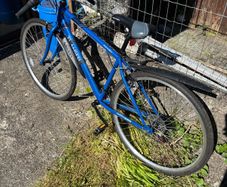 Apollo Transfer bike