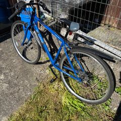Apollo Transfer bike