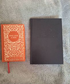 Daily Diary