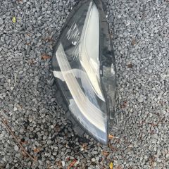 Tesla driver side lamp