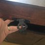 wooden chest Image 5