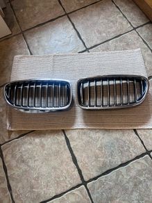 BMW kidney grills