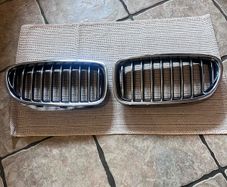 BMW kidney grills