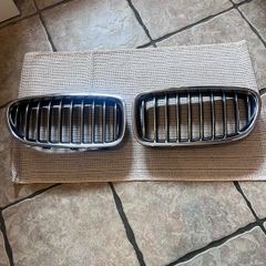 BMW kidney grills